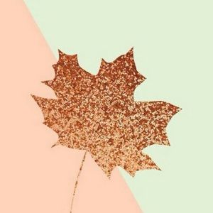 Meet your Posher, Anabel